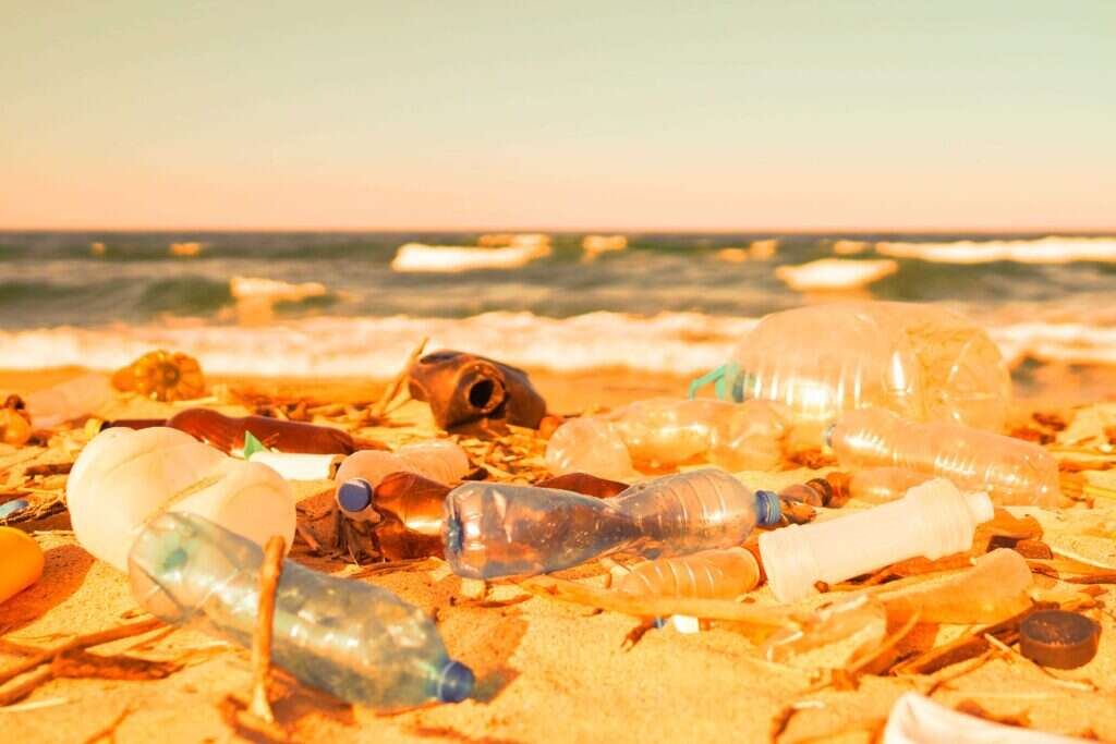sustainable tourism, waste, beach