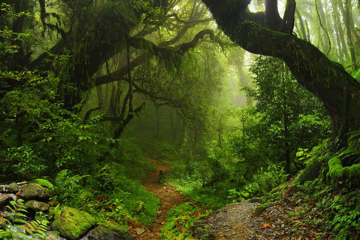 nature funds, biodiversity