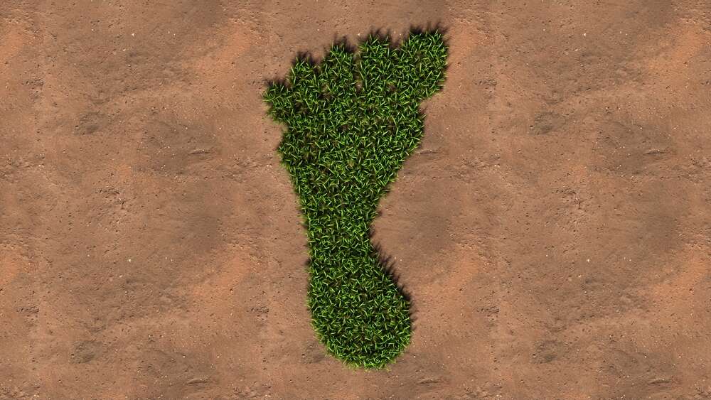 supply chain, Scope 3, emissions, carbon