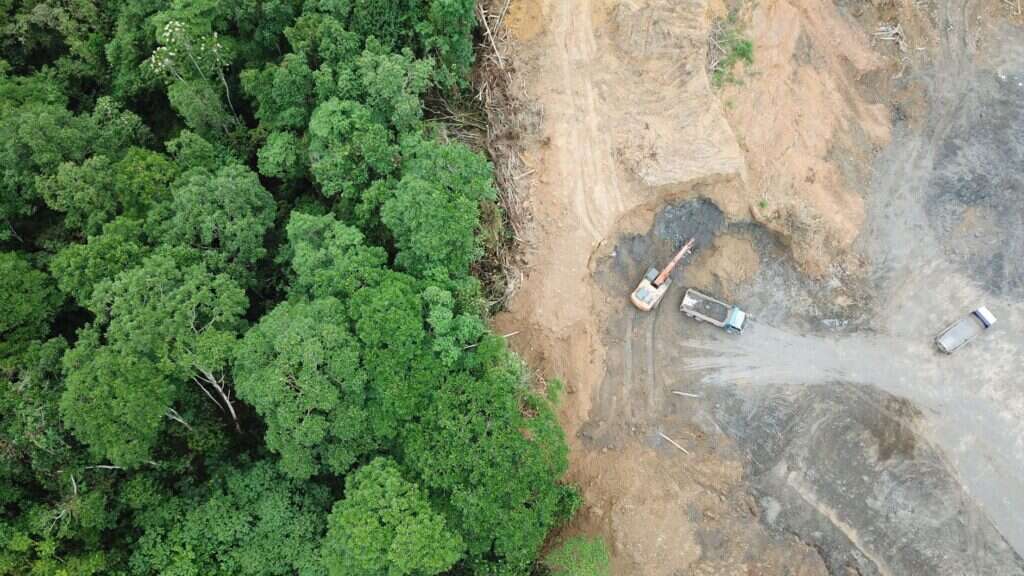 deforestation, amazon, COP26