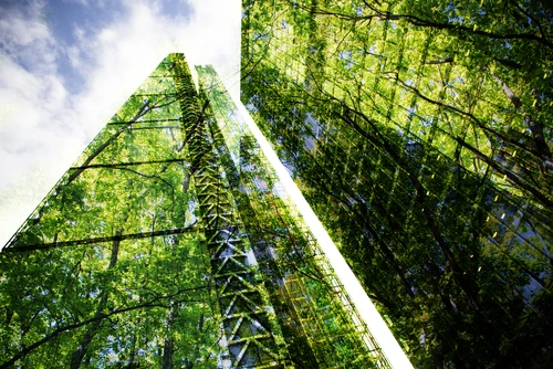 green bonds