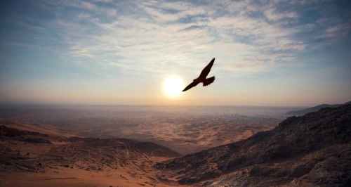 green falcon economy