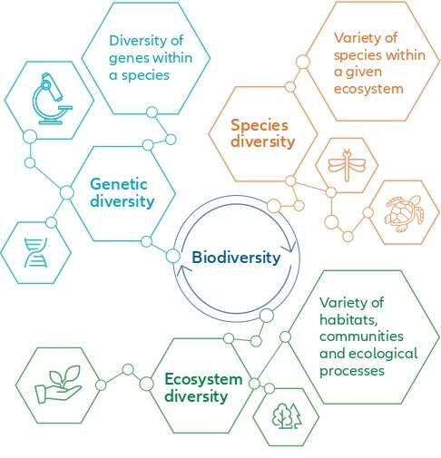 biodiversity 