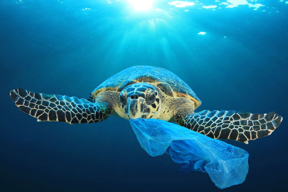 World Oceans Day. SDG14