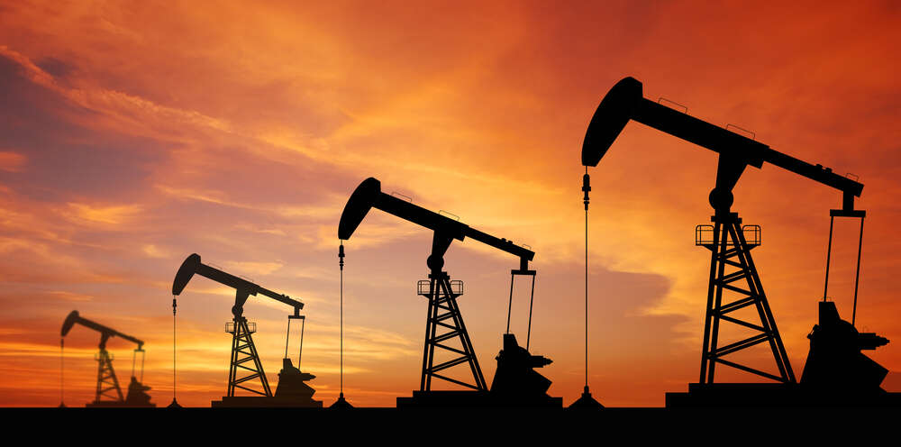 Net Zero Asset Owner Alliance, Oil and Gas