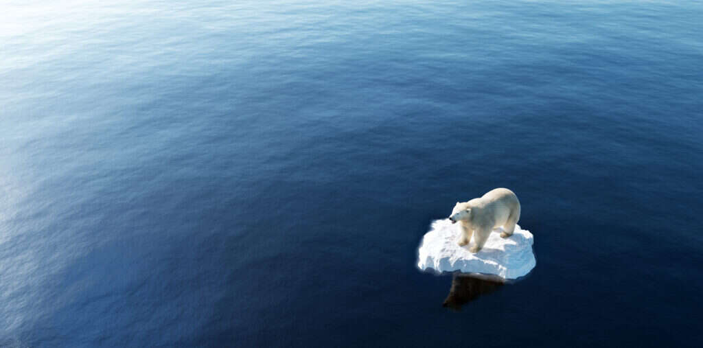 Climate change risk, Philippines, legal opinion