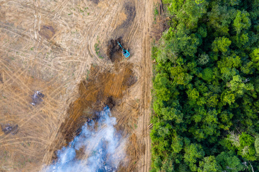 biodiversity investment