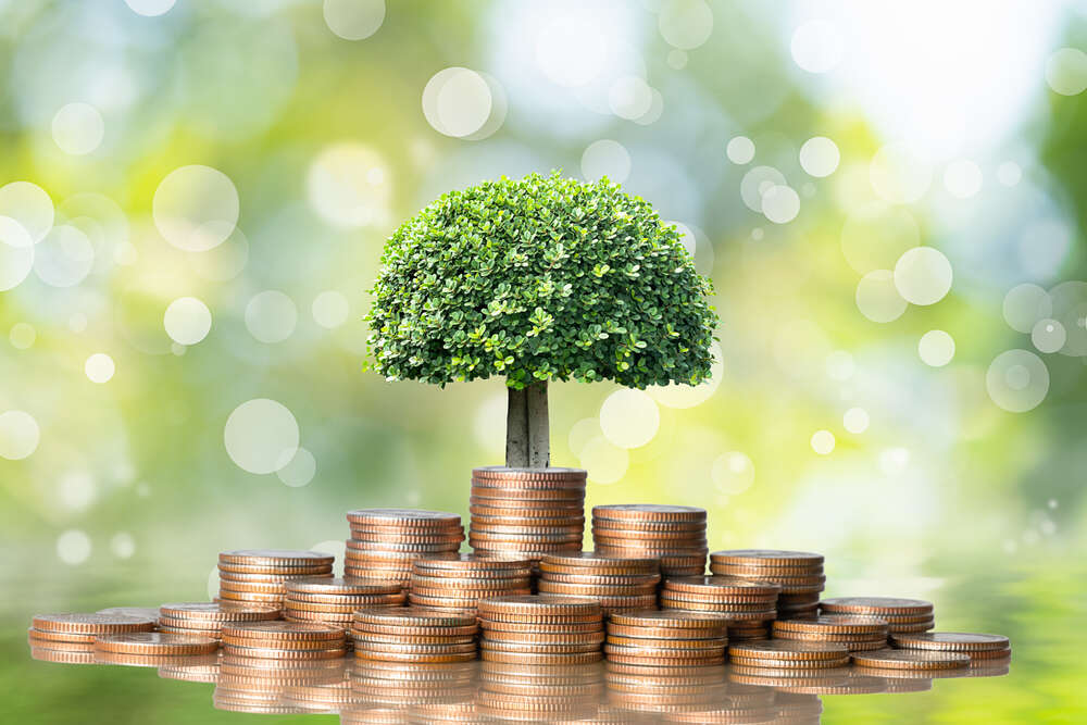 Incredible growth in the ESG bond market has presented the bond market with a new systemic risk due to the presence – or not – of a greenium.
