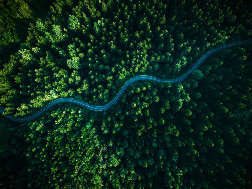 low carbon transition 