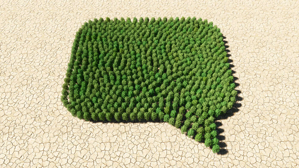 biodiversity