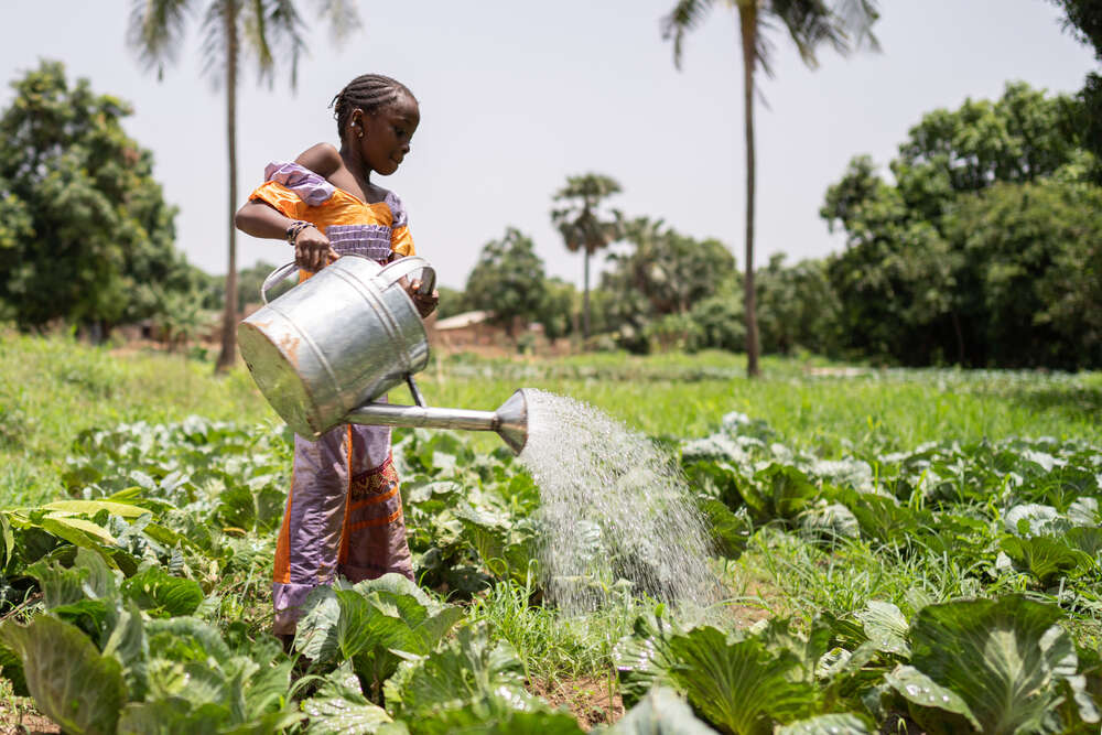 Carbon credits could bring $6bn in revenue and 30m jobs to Africa by 2030. But unless regulation for the carbon credit market is overhauled, it is in danger of becoming a stranded asset.